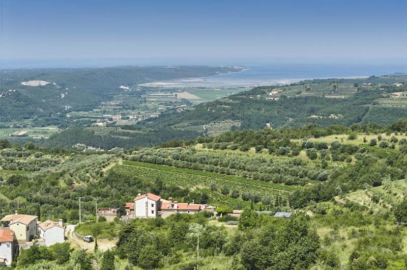 4 Bedroom Luxury Villa Retreat with Heated Infinity Pool near Buje, Sleeps 8-10