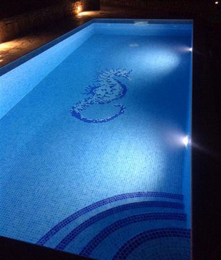4 bedroom villa with pool in Maslinica, sleeps 8