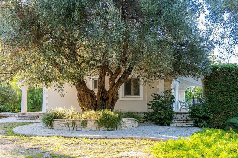 3 bedroom villa with pool in Kassiopi, Corfu, sleeps 6